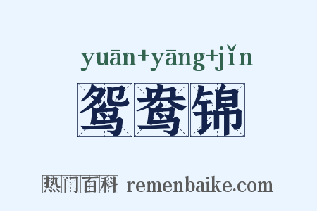 鸳鸯锦是什么意思的图片
